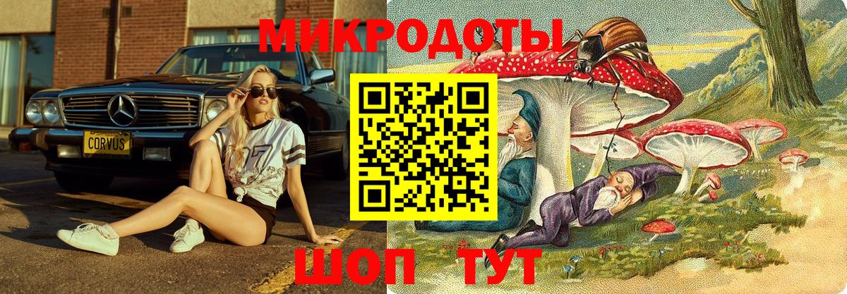 Азнакаево  даркнет сайт  Вход с VPN  Галлюциногенные грибы GOLDEN TEACHER 